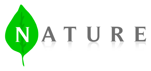 nature-1357928_640-1